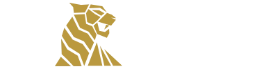 TigerSpin