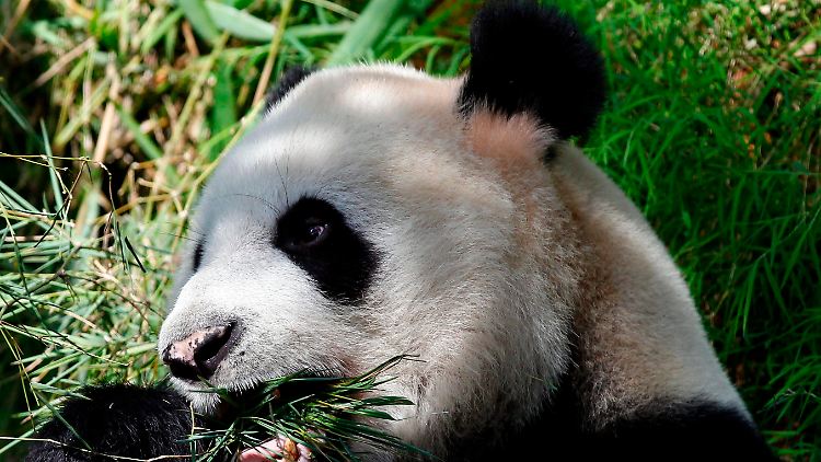 Was man kennt, kann man besser Schützen.