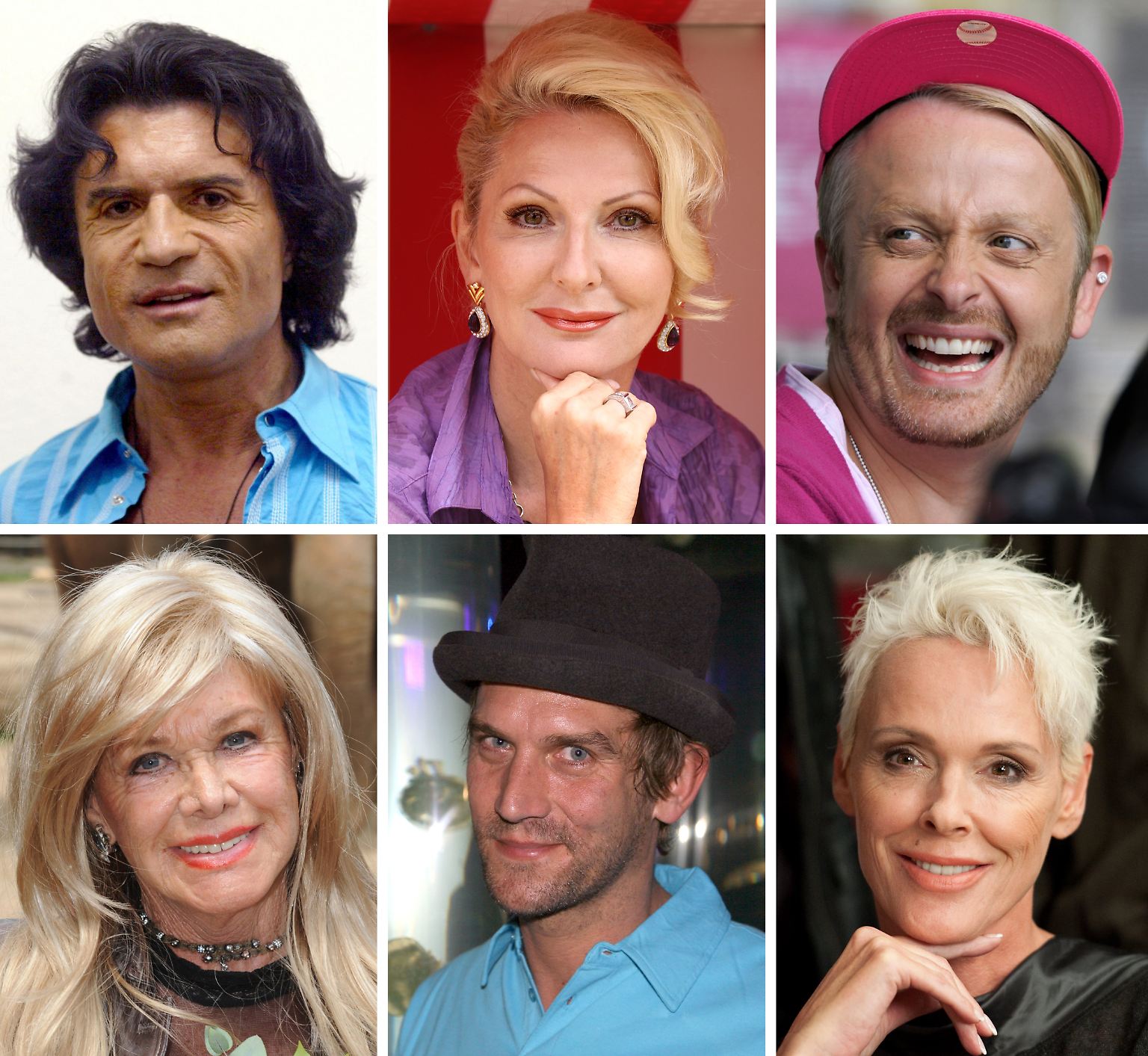Costa Cordalis, Désirée Nick, Ross Antony, Ingrid van Bergen, Peer Kusmagk und Brigitte Nielsen - die sechs Promis sind die Vorgänger von ...
