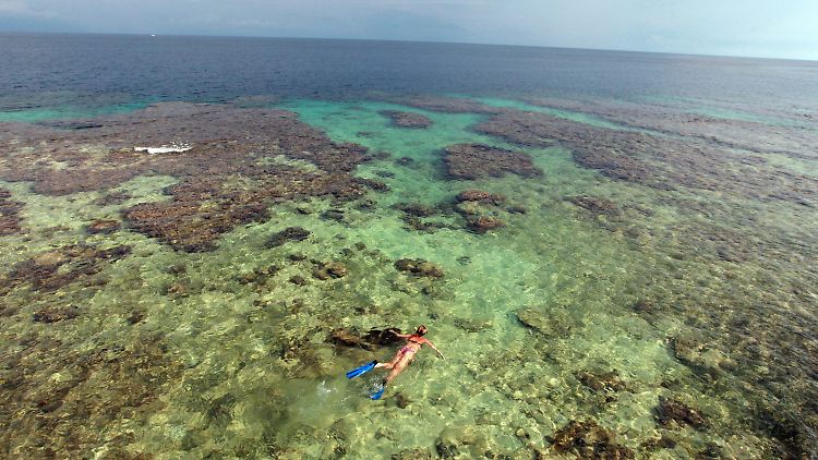 Eine Frau schwimmt über einem Korallenriff vor der Insel Utila, Honduras.
