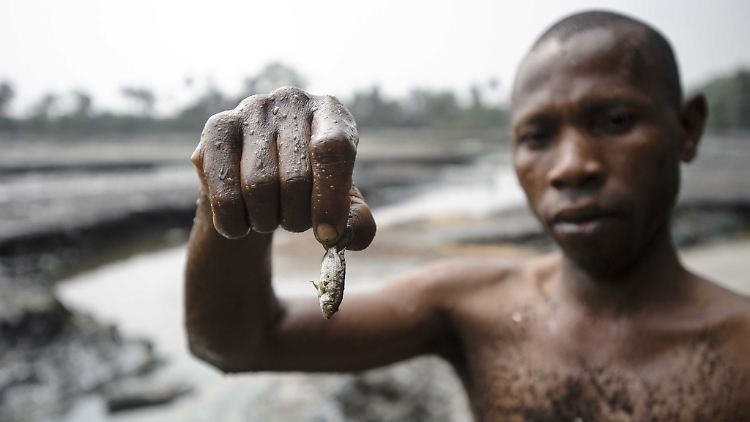 Der macht niemanden mehr satt: Bauern und Fischer in Nigeria klagen seit Jahrzehnten, dass die Ölverschmutzung ihnen die Lebensgrundlage nimmt.