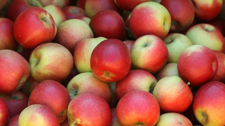 Ein Apfel ist in zehn Sekunden gewaschen. Er sollte mit Schale gegessen werden und gehört zu den Minutenrezepten bei Strunz.