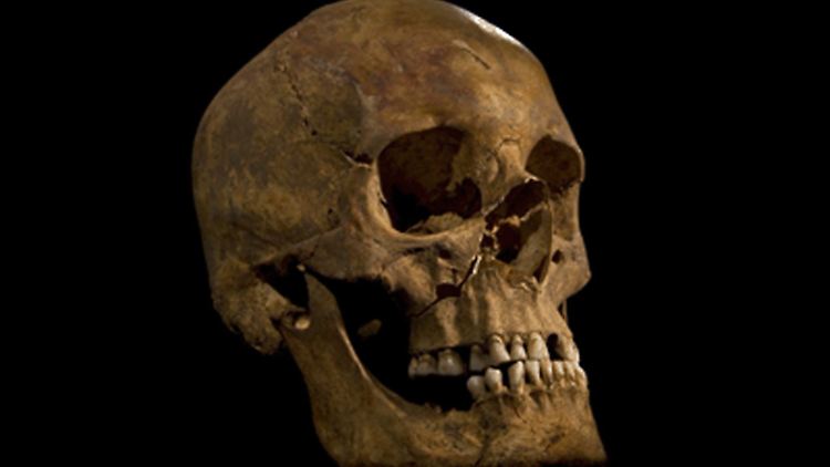 Der Schädel eines Königs: Richard III.
