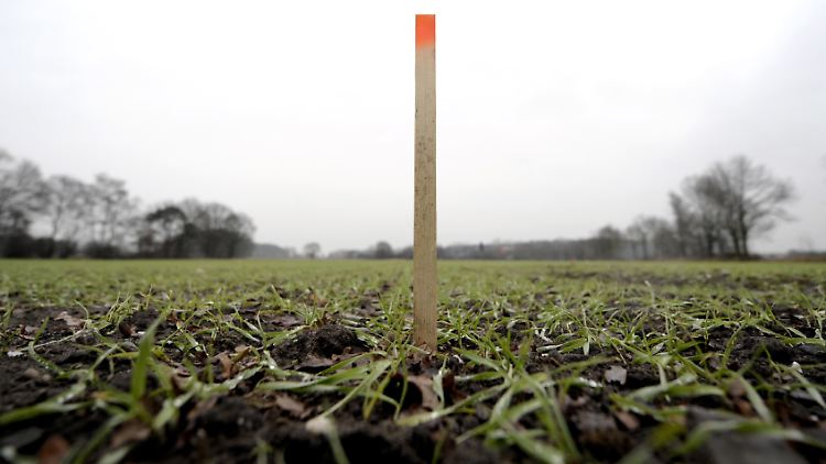 Ein Holzpflock steht in Borken zur Geländevermessung auf einem Feld. Damit werden Probebohrungen nach Erdgasvorkommen vorgenommen.