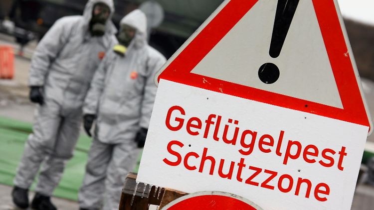 Achtung Sperrbezirk: Im Umkreis von einen Kilometer steht alles Geflügel unter Beobachtung.