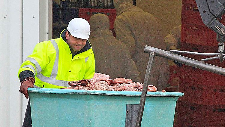 Ein Arbeiter der französischen Firma Spanghero vernichtet Fleisch.