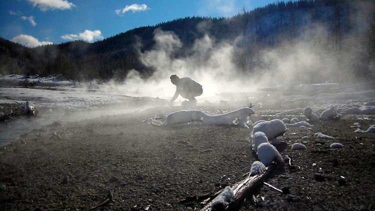 Im Yellowstone Nationalpark kann der Boden sehr heiß werden - Viren und Pilze können Pflanzen hier beim Überleben helfen