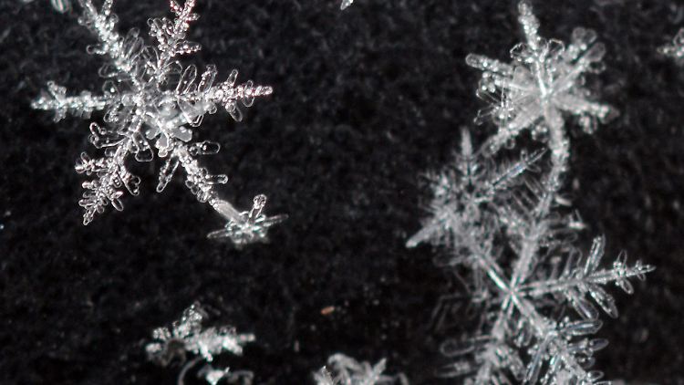 Schneeflocken wie Kunstwerke.