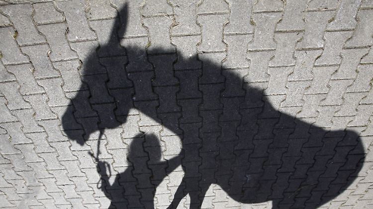 Am kurzen Zügel: Die Sitzung der Fed wirft ihre Schatten voraus. 
