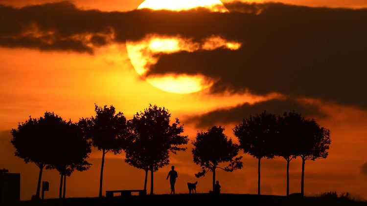 In der abendlichen Hitze am Kronsberg in Hannover.