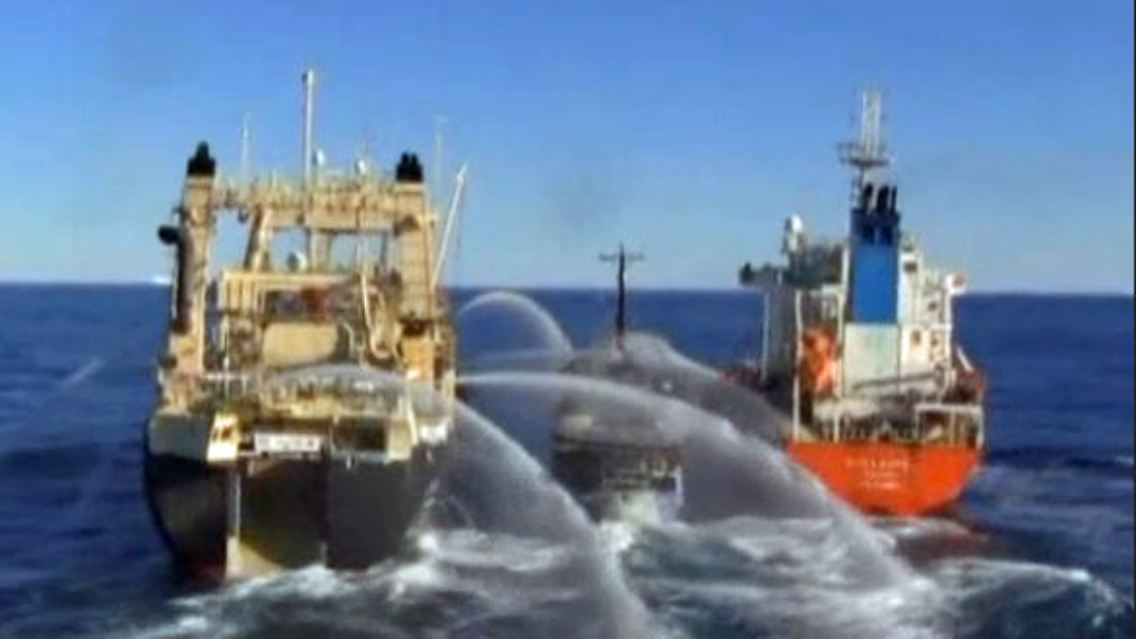 Sea Shepherd.JPG