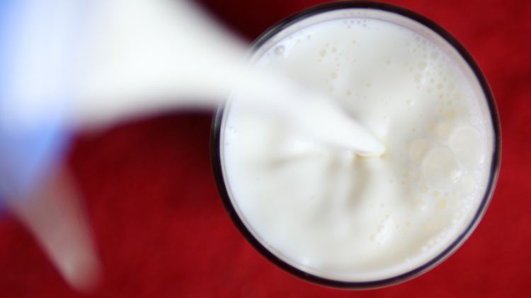 Hoffentlich gut verdünnt: Gift in der Milch, Gefährdung trotzdem "unwahrscheinlich".