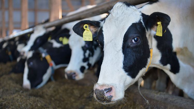 Auch von diesem Hof in Niedersachsen darf wieder Milch geliefert werden.