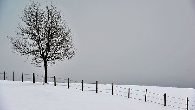 Der Winter hat Deutschland bald wieder im Griff.