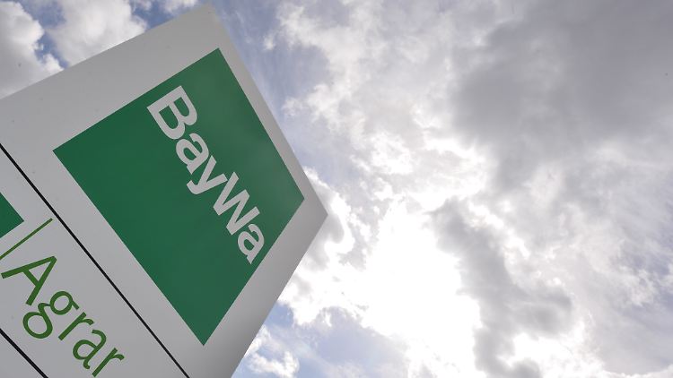 Mit dem Agrarland Bayern gewachsen: Grün leuchtet das Logo der "Bayerischen Warenvermittlung".