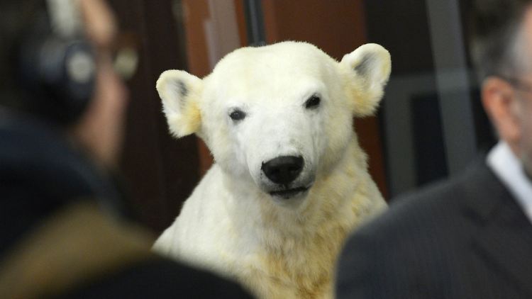 Seit Februar steht eine Plastik von Knut im Berliner Naturkundemuseum.