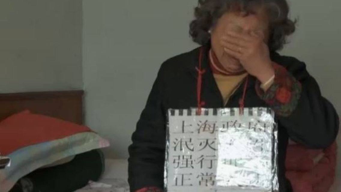 chinesin.JPG