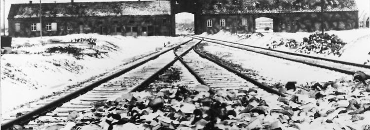 Thema: Holocaust