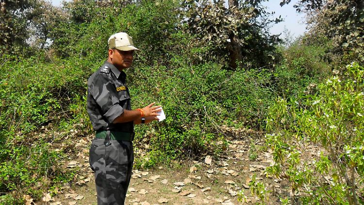 Ein Polizist untersucht die Stelle, an der die Vergewaltigung stattgefunden haben soll.