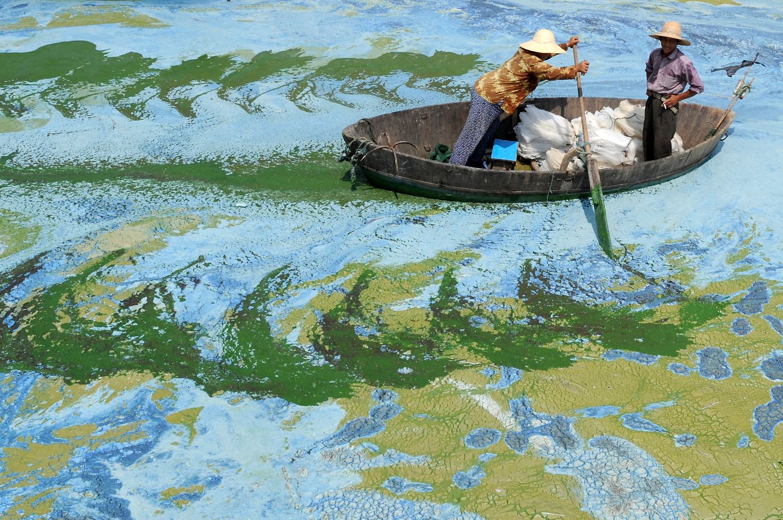 Es ist ein Bild von bizarrer Schönheit - und doch ist es alles andere als eine Idylle. Diese chinesischen Fischer kämpfen sich durch den mit Algen und Düngemittel verseuchten Chaohu-See in Hefei.