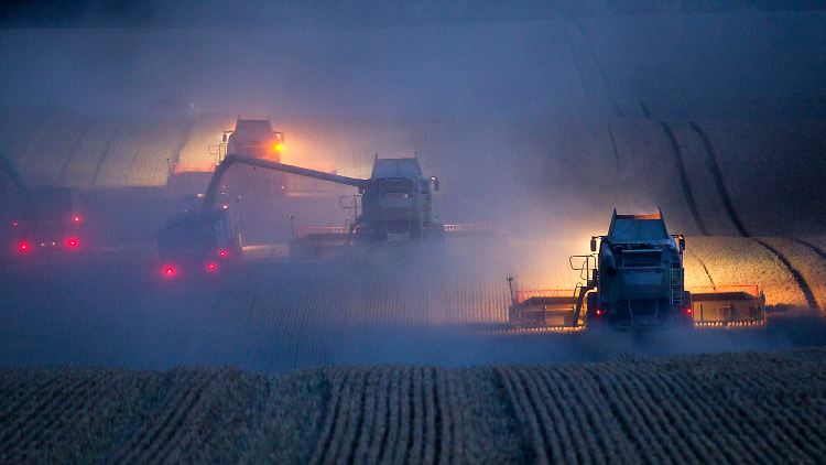 Weizenernte im vergangenen Sommer.