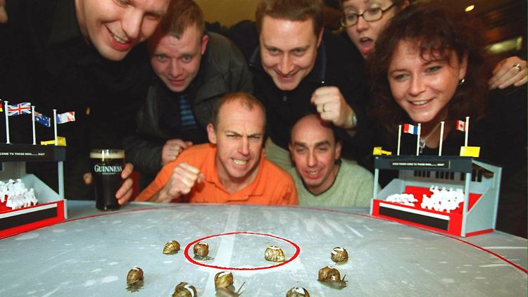 In der Bundesliga ist Eintracht Frankfurt bis jetzt die schnellste Schnecke.