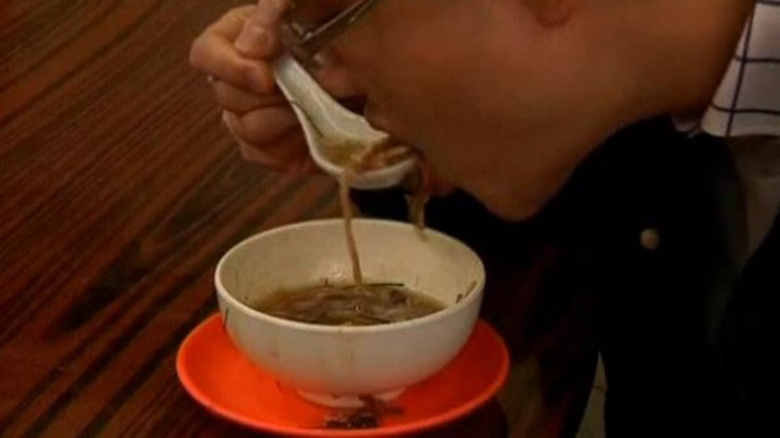 schlangensuppe.JPG