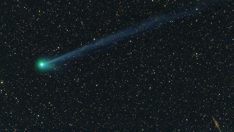 Die American Meteor Society erhält täglich etwa ein Dutzend Meldungen.