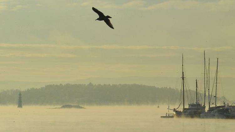 Vor der norwegischen Küste liegen gleich mehrere deutsche U-Boot-Wracks.