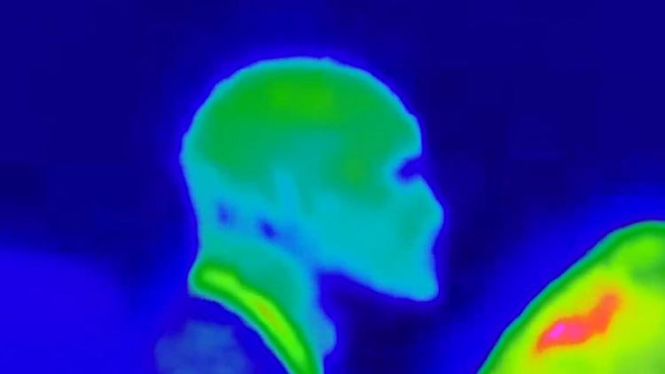 Das angebliche "Alien" aus dem Video.