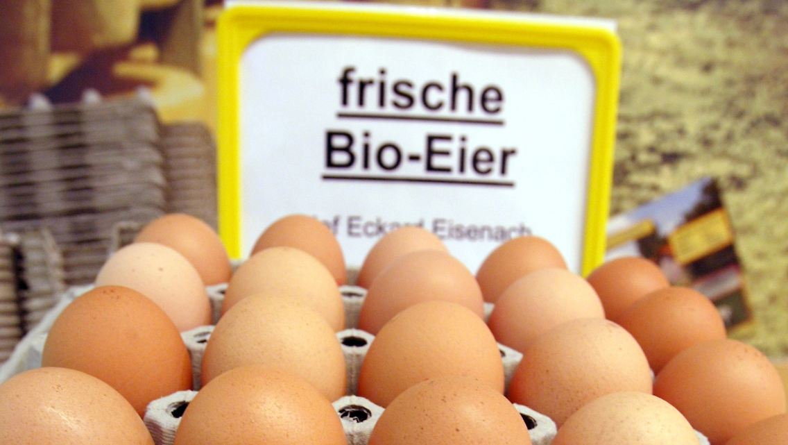 Bioeier.jpg