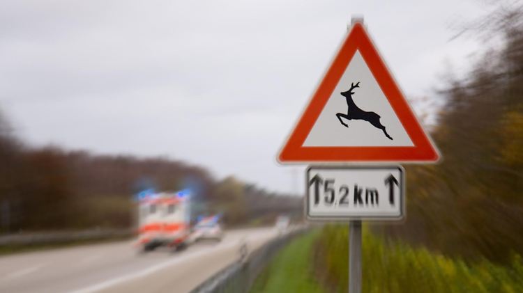 Autofahrer sollten derzeit besonders umsichtig fahren.