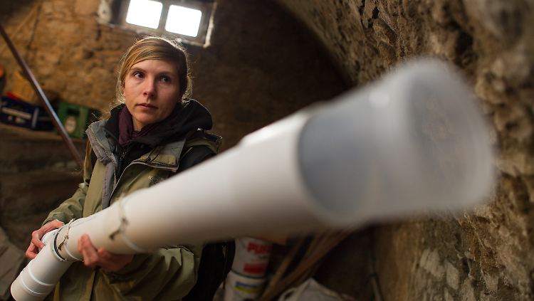 Hat es auf Mücken abgesehen: Virologin Hanna Jöst will mit Hilfe der Blutsauger das Usutu-Virus besser verstehen.