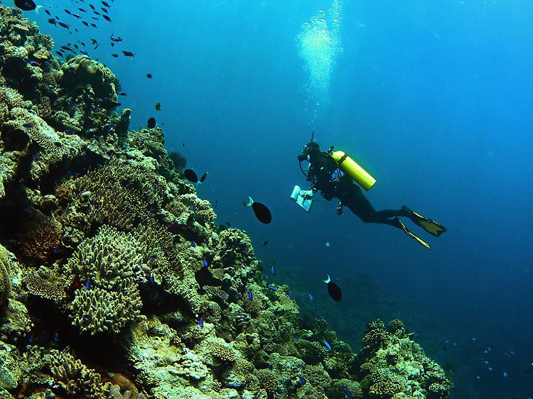 Scott Reef vor der westaustralischen Küste.