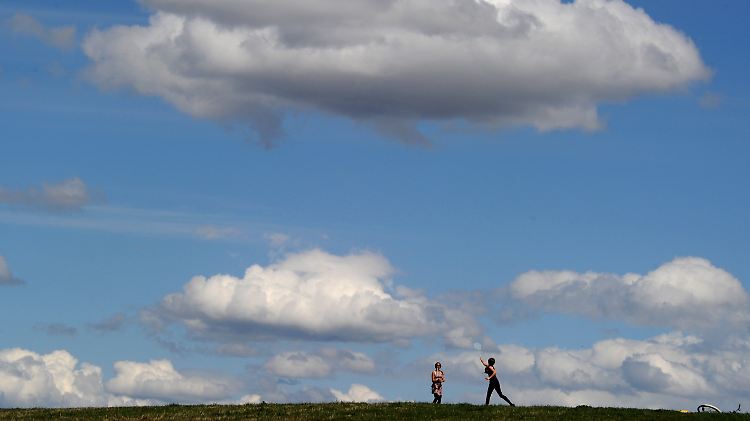 Schönwetterwolken stehen für Leichtigkeit. Doch mit einem Elefanten können sie es gewichtsmäßig durchaus aufnehmen. Je nach Größe auch mit mehreren.