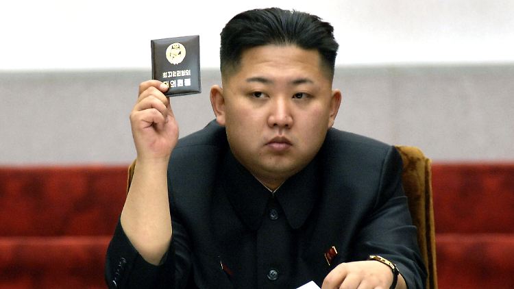 Kim Jong Un während einer Abstimmung in der nordkoreanischen Volkskammer im vergangenen Jahr.