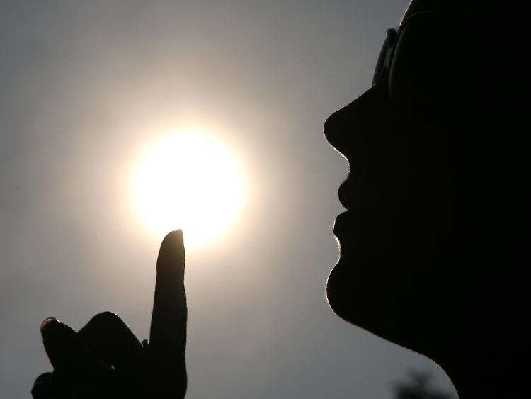 Nicht nur die Sonne ist ein Vitamin-D-Lieferant. Auch über die Nahrung wird der Körper mit dem Vitamin versorgt.