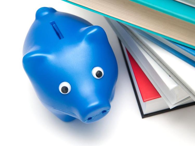 Auch wenig Geld im Sparschwein reicht, um eine Weiterbildung zu machen. Denn häufig gibt der Staat Geld dazu.
