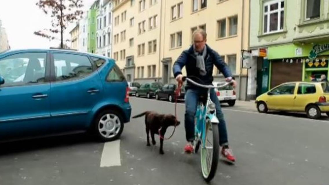 fahrrad.JPG