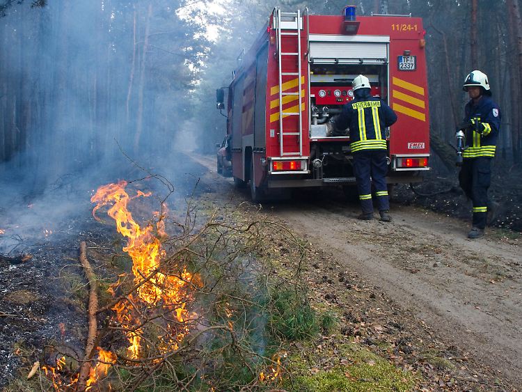Der Brand im Waldgebiet auf einem ehemaligen Truppenübungsplatz unweit von Jüterbog im brandenburgischen Landkreis Teltow-Fläming konnte noch nicht gelöscht werden.