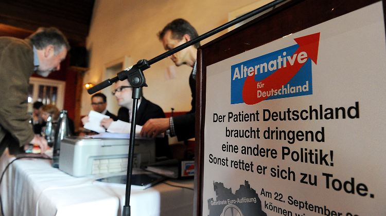 Am Wochenende gründeten sich AfD-Landesverbände in Schleswig-Holstein (Bild) und Berlin.