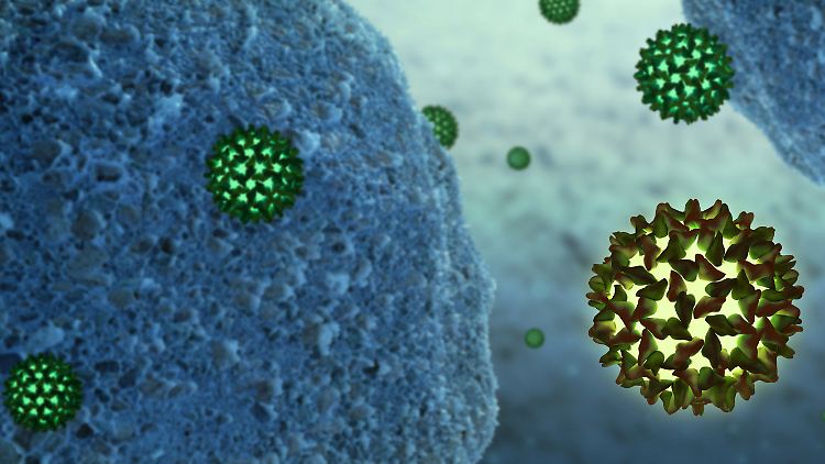 Das Foto zeigt Hepatitis-B-Viren neben menschlichen Zellen.