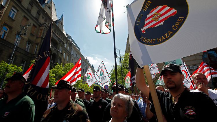 2013-05-04T113354Z_01_BAL07_RTRMDNP_3_HUNGARY-PROTEST.JPG1886801394778520116.jpg