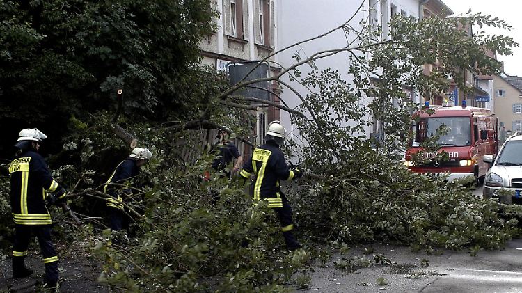 Vielerorts wurden Bäume umgerissen und dabei Autos beschädigt.