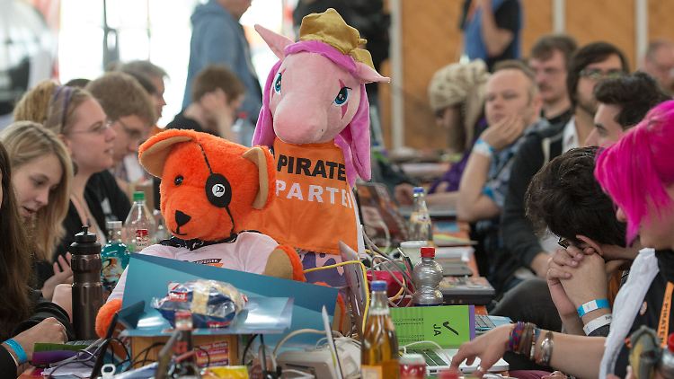 Bunte Mischung: Piraten tagen mit Stofftieren in der Oberpfalz.