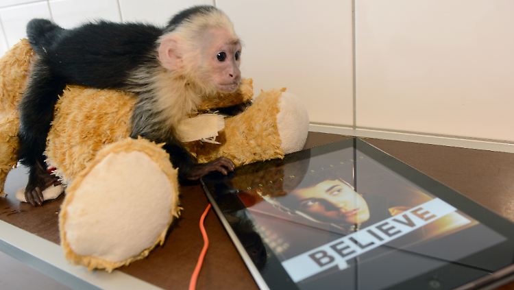 Bald kommt Mally wohl endlich wieder unter Artgenossen.