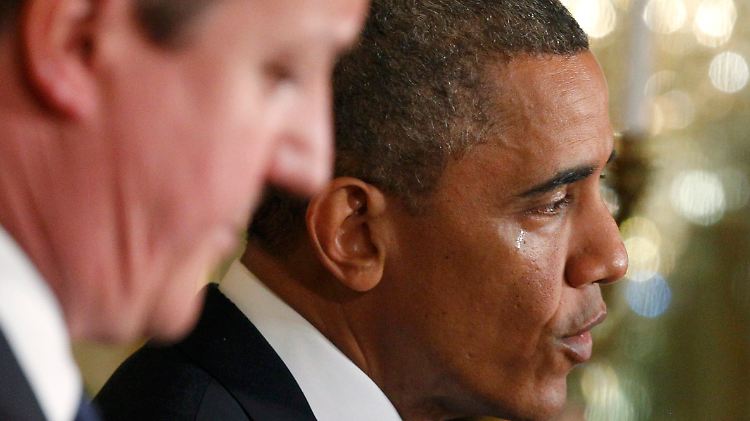Cameron und Obama stehen der Bewaffnung von Oppositionellen in Syrien unterschiedlich gegenüber.