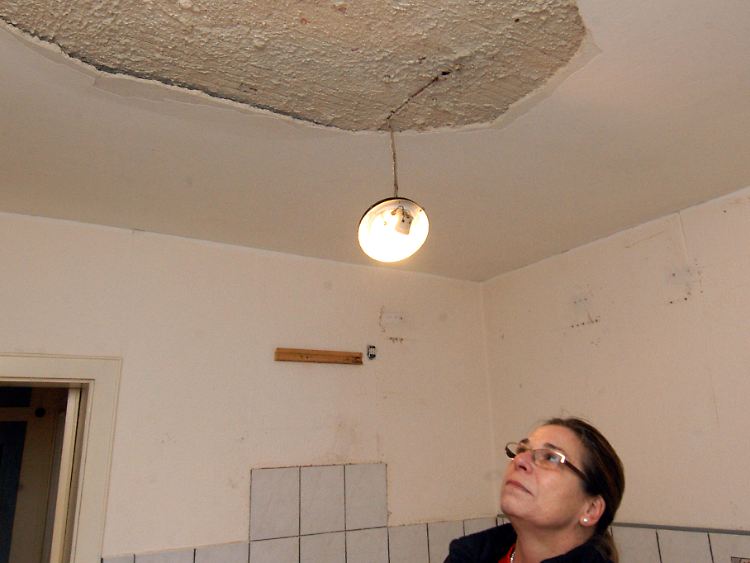 Die gefürchteten Mietnomaden ziehen zwar freiwillig weiter, hinterlassen aber Chaos statt Geld.