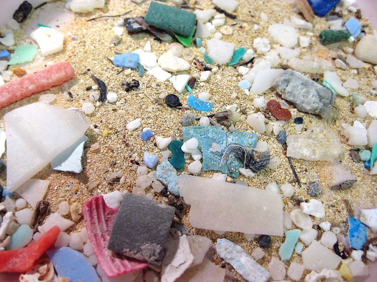 Im Meer wird das Plastik zu kleinsten Teilchen zerrieben. Diese schwimmen auf der Wasseroberfläche, aber auch noch 30 Meter darunter. Vögel und Fische verwechseln die Partikel mit Nahrung.