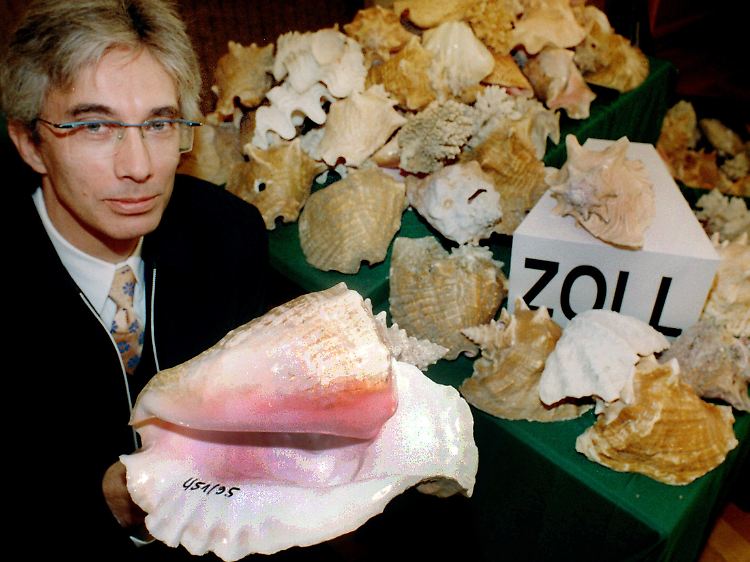 Bedroht: Vom Zoll beschlagnahmte "Meeressouvenirs", vorn die Fechterschnecke, dahinter Muscheln, Steinkorallen und Meeresschnecken.